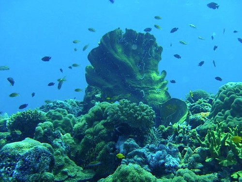 60990_146860648688387_1350645432013