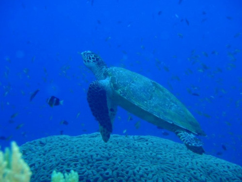 60990_146860675355051_1350645432013