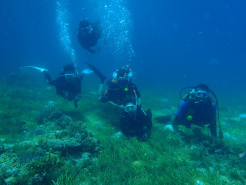 60990_146860698688382_1350645432013