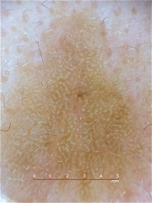 D062e8cb79bf4dd1888ee0b5b5afdfca