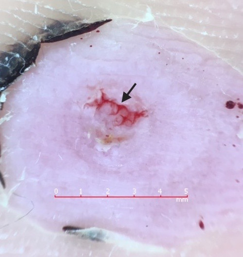 Eeab69ac493d4b08a9a76ce0713ec218__4