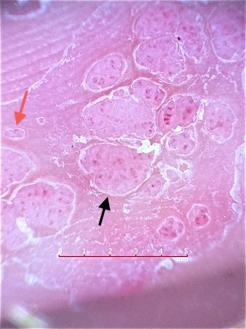 9244d545792d4effaf8fcb365747f2dc_2