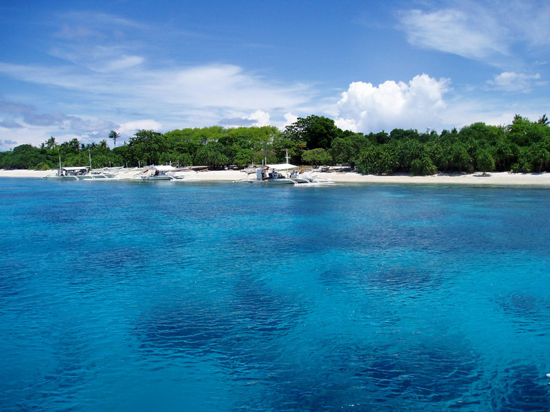 460832_312073938855360_1250190406_o