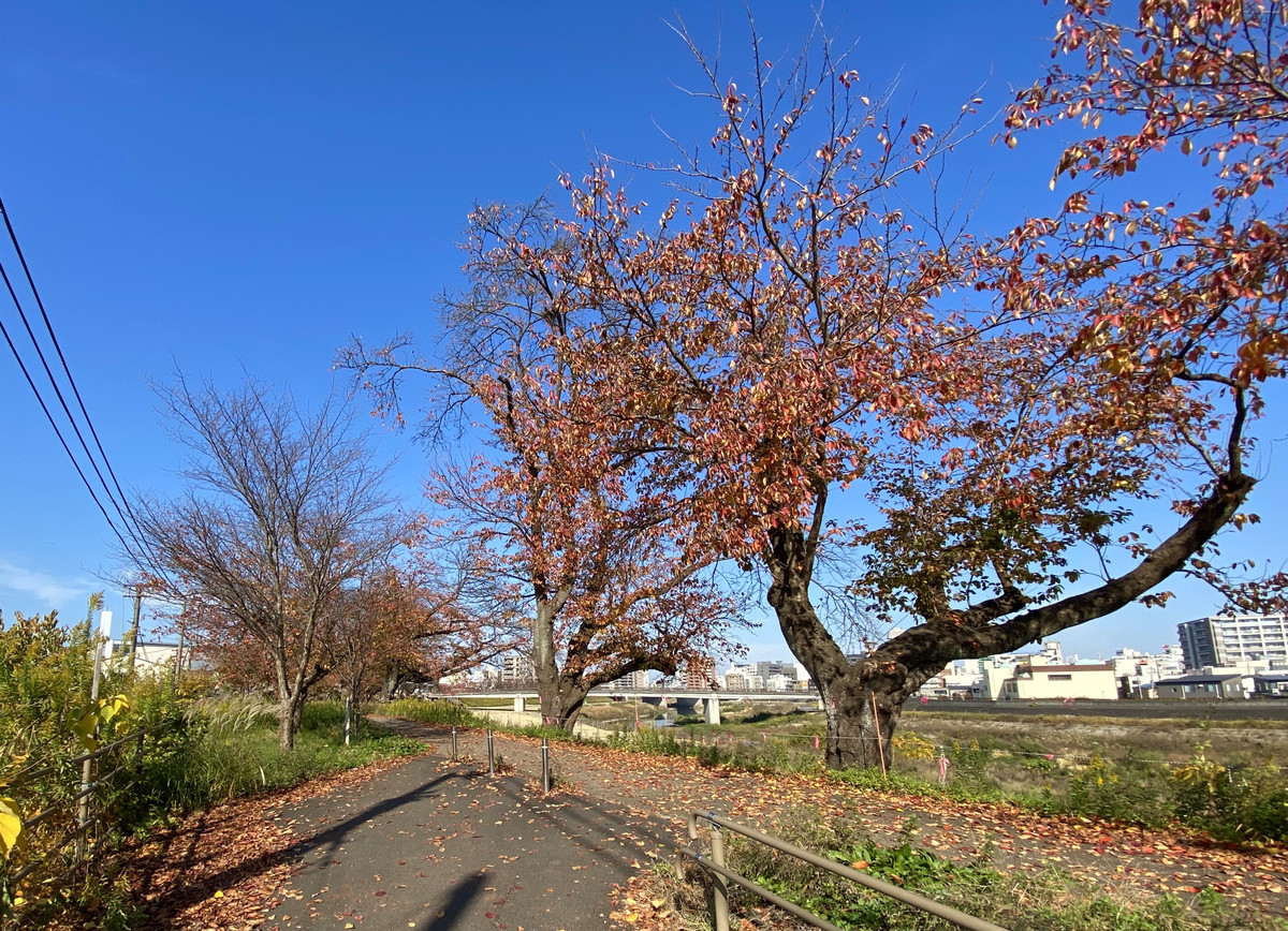 85fbf6046ef740f9ad168339261a2e36_1