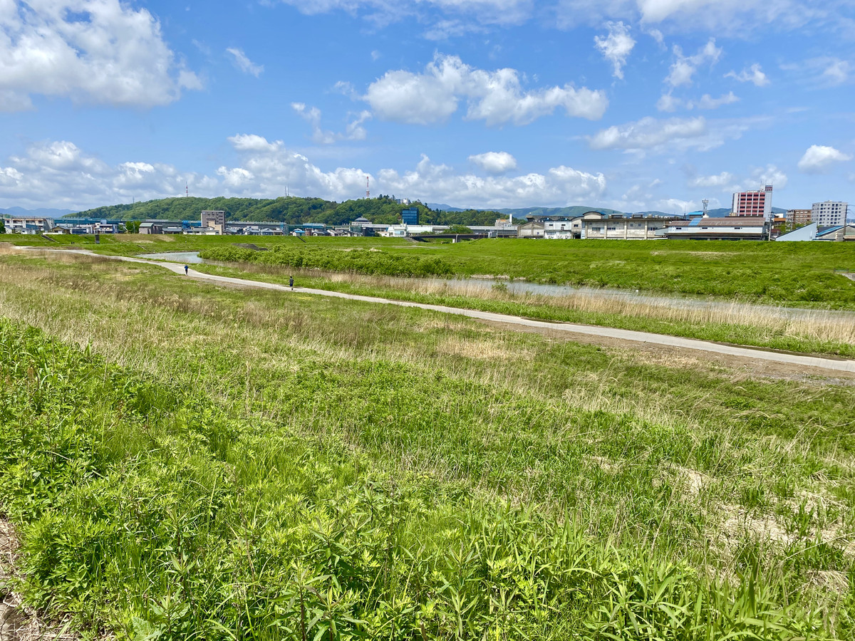 0c152696eb24406f9ff6c62a62f52d04_1