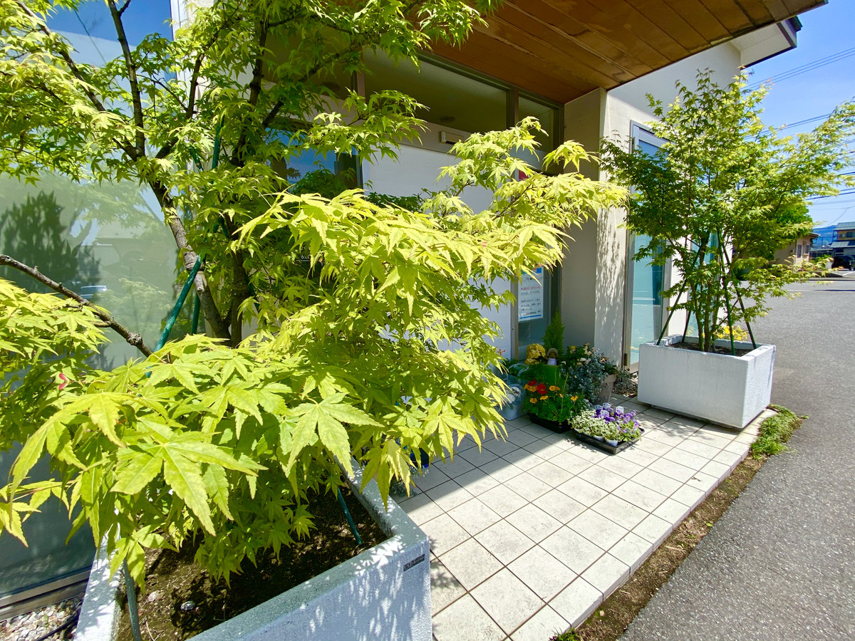 329ce7caf4ec4246b5866f2d9e85c134_1